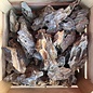 Dragon stone fragments 1 kilo