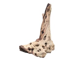 Onlineaquarium spullen Mopani hout