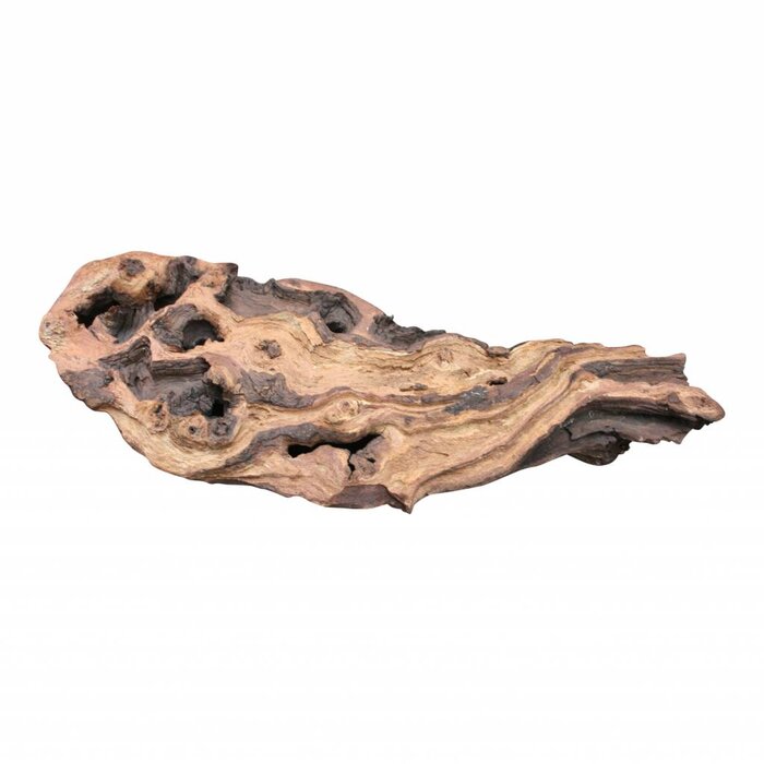 Onlineaquarium spullen Mopani wood