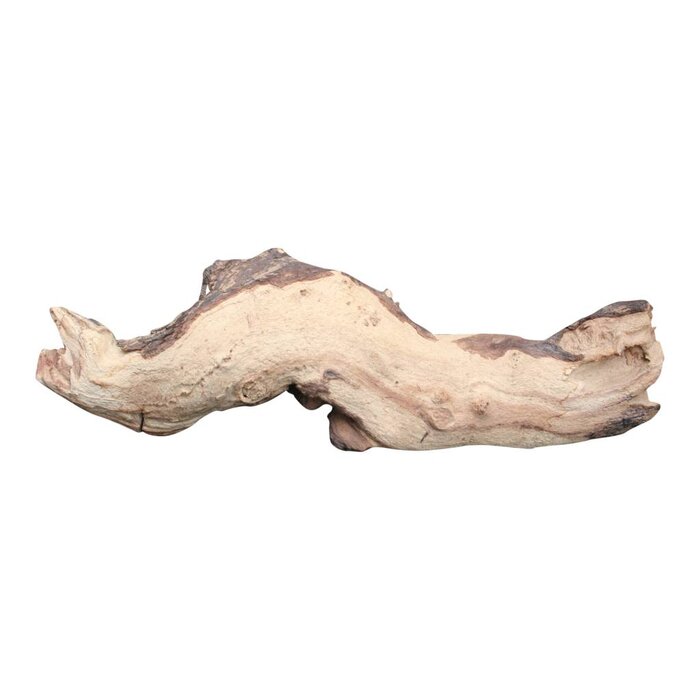 Onlineaquarium spullen Mopani hout