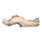 Onlineaquarium spullen Mopani wood