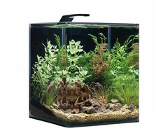 Dennerle Dennerle Nano cube led style 30 liter set