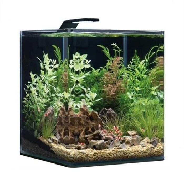 Dennerle Dennerle Nano cube led style 30 liter set