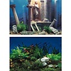 SuperFish Superfish deco poster 5
