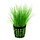 Naaldgras (Eleocharis Acicularis)
