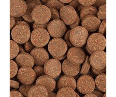 Knoflook tabletten