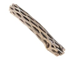 Onlineaquarium spullen Cholla wood