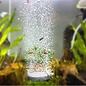 Onlineaquarium spullen Luftstein 4cm rund