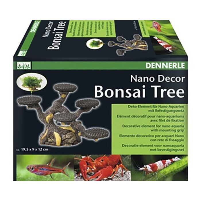 Dennerle Dennerle Bonsai Tree