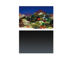SuperFish Superfish deco poster 1