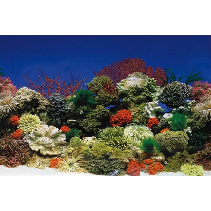 SuperFish Superfish deco poster 1