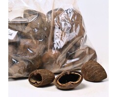 Onlineaquarium spullen Cocos pods 6-8cm