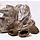 Cocos pods 6-8cm