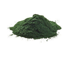 Onlineaquarium spullen OAS Spirulina Pulver