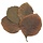 Teak bladeren