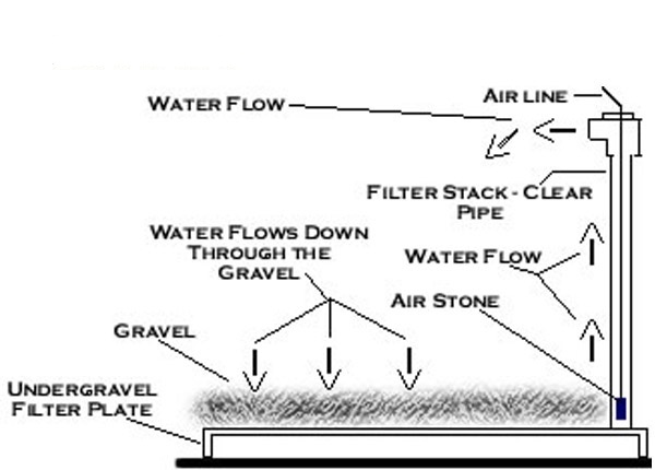 Boyu Undergravel Filter 16P