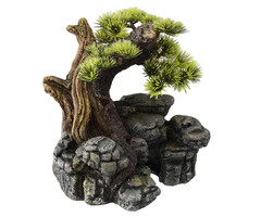 Aqua Della Bonsai SM