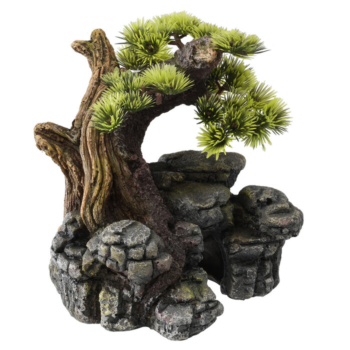 Aqua Della Bonsai - 16,5x16,5x18 cm