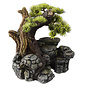 Bonsai - 16,5x16,5x18 cm