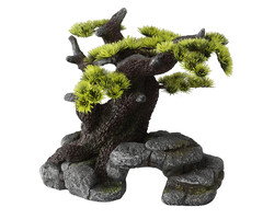 Aqua Della Bonsai ML