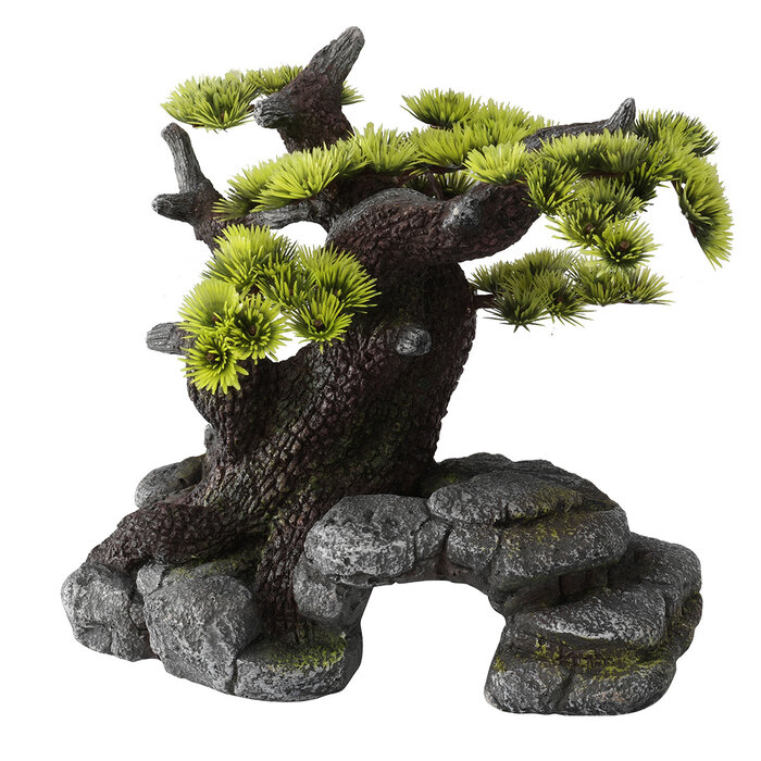 Aqua Della Bonsai ML