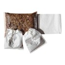 Onlineaquarium spullen Catappa blad tea bags