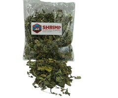Onlineaquarium spullen Moringa Blätter
