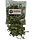 Moringa leaves