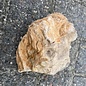 Fossil Wood stone