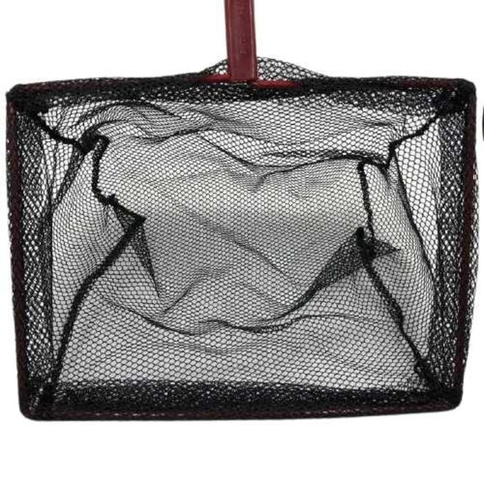 Dennerle Dennerle visnet