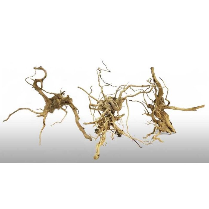 Wio Spiderwood - Aquarium hout