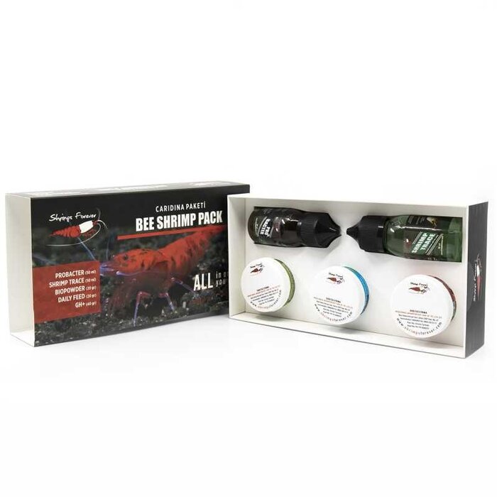 Shrimps forever Shrimps Forever Caridina box