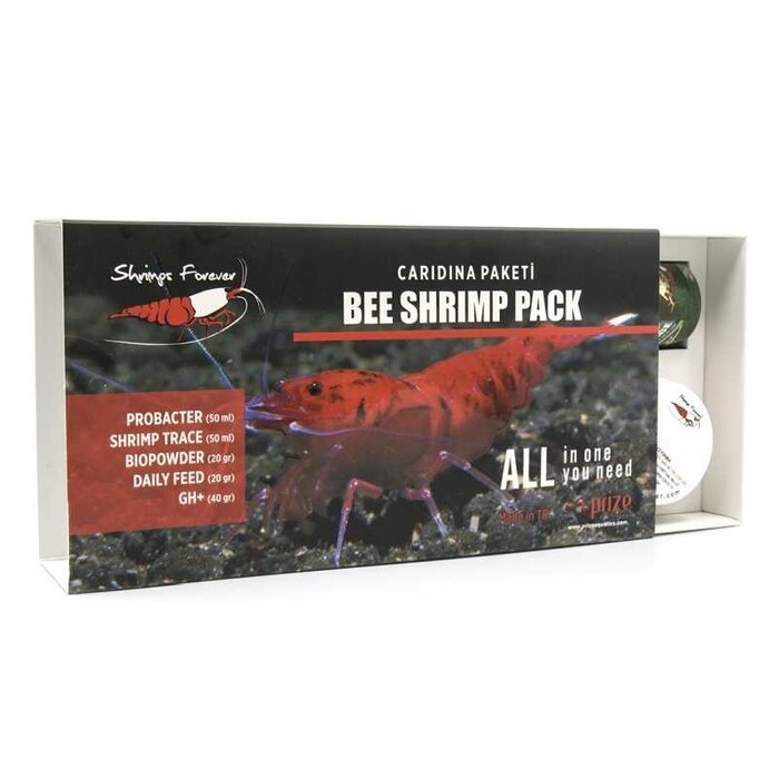 Shrimps forever Shrimps Forever Caridina box
