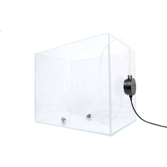 Collar Collar aPUMP Maxi