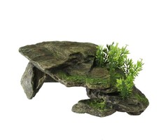 Aqua Della Aqua Della stone with plants