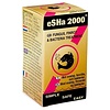 Esha Esha 2000
