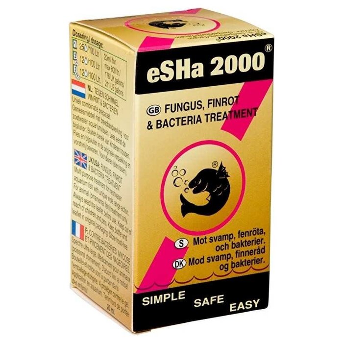 Esha Esha 2000