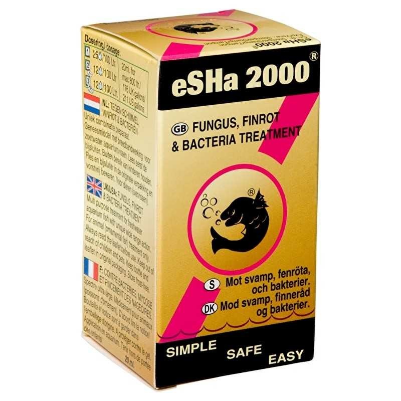 eSHa 2000