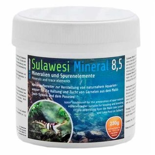 SaltyShrimp - Sulawesi Mineral 8,5