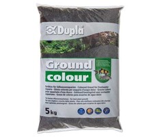 Dupla Dupla Ground colour Black Star