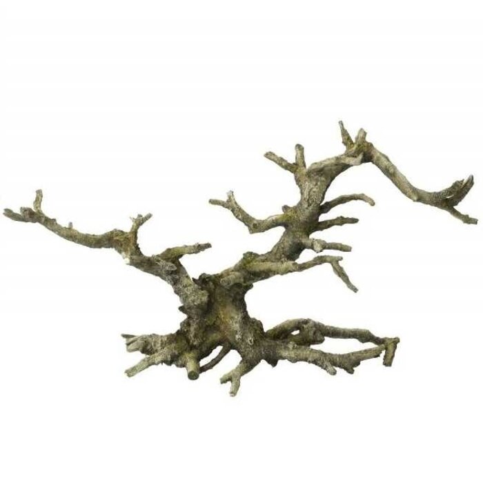 Aqua Della Bonsai Grau - 35,5x10x17,5 cm