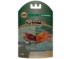 Dennerle Dennerle Shrimp King Dadap Leaves