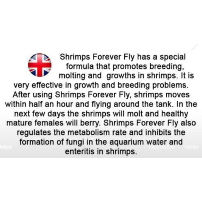 Shrimps forever Shrimps Forever fly