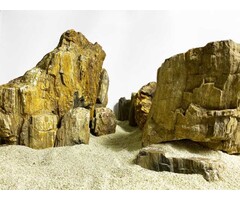 Wio Fossil Wood stone