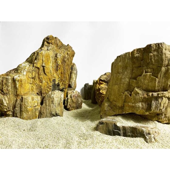 Wio Fossil Wood stone