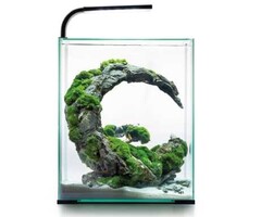 Aquael Aquael shrimp set day & night 30