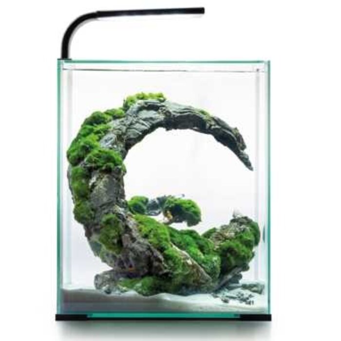 Aquael Aquael shrimp set day & night aquarium 30 liter