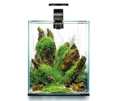 Aquael Aquael shrimp set day & night 20
