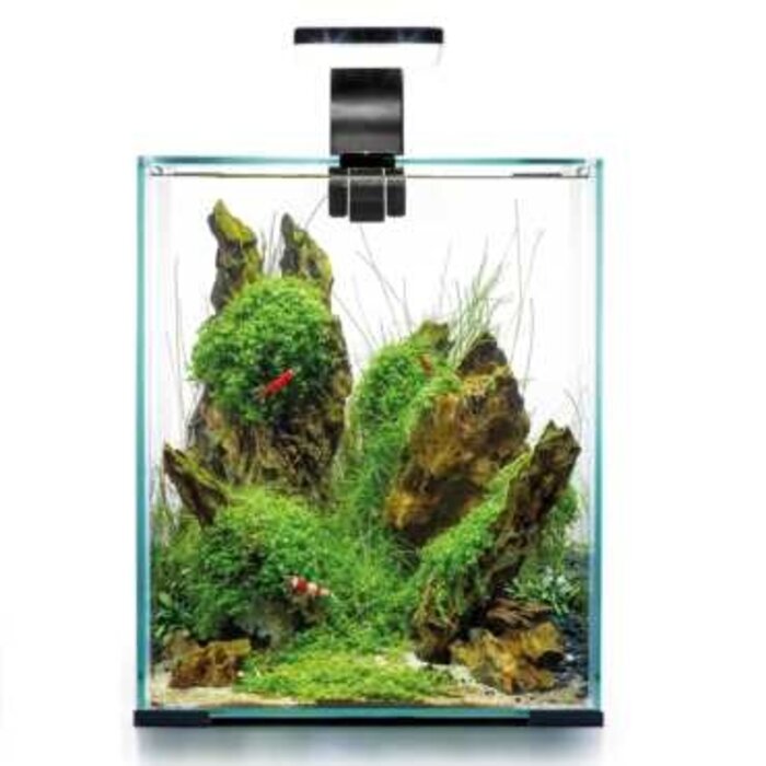 Aquael Aquael shrimp set day & night 20