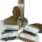 Onlineaquarium spullen Combination package #1